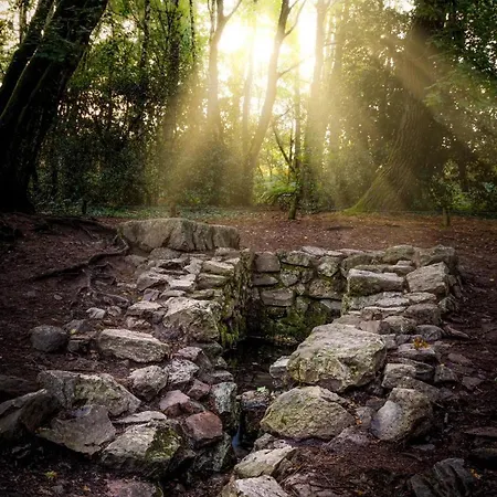 Le Gwenved En Broceliande
