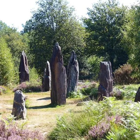 Le Gwenved En Broceliande