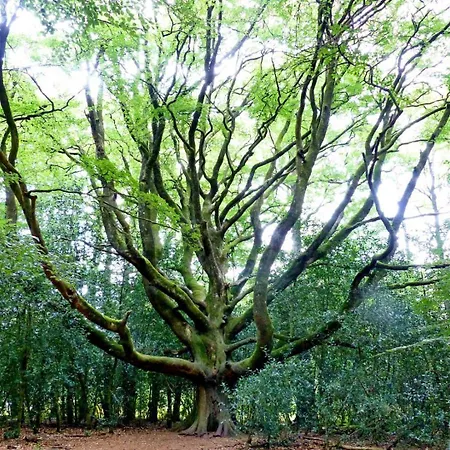 Casa vacanze Le Gwenved En Broceliande *